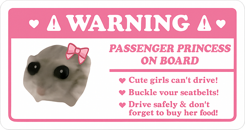 Car sticker passenger princess humor - TenStickers