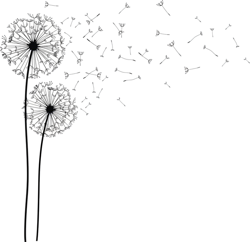 Dandelions window sticker - TenStickers