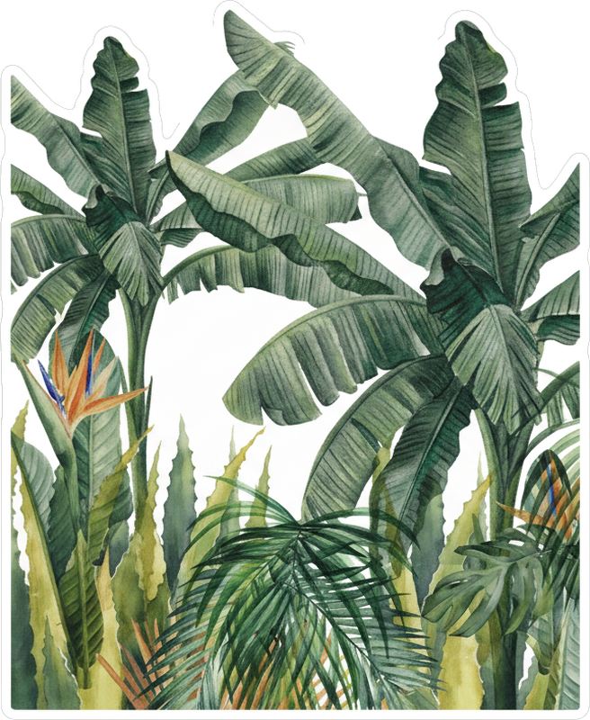 Sticker illustration of elegant tropical trees - TenStickers