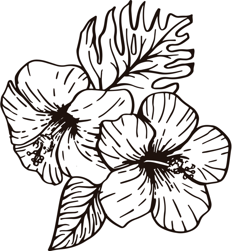 Spring Orchid Flower Wall Sticker Tenstickers,Sage Plant Tattoo