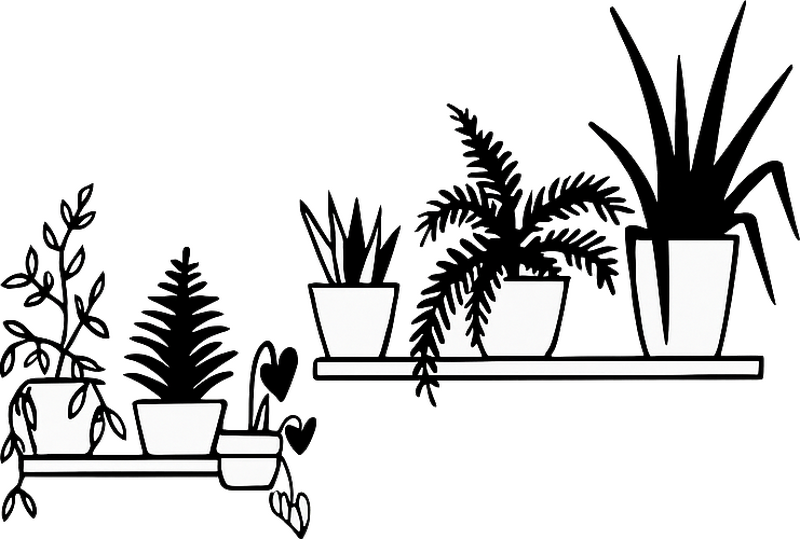 Vinilo pared flor minimalista doméstica - TenVinilo