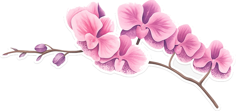 Adesivo per muro ramo di orchidea rosa - TenStickers