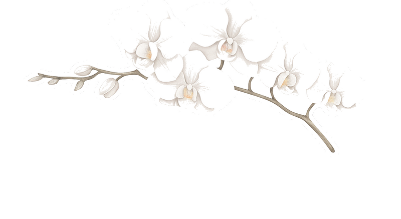 Adesivo per muro ramo di orchidea bianca - TenStickers