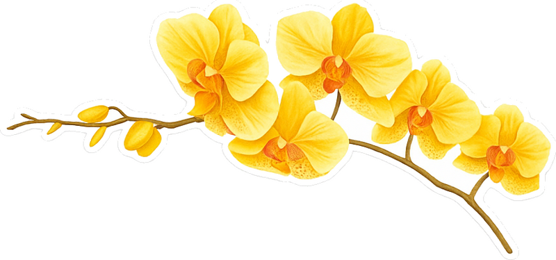 Adesivo per muro ramo di orchidea gialla - TenStickers
