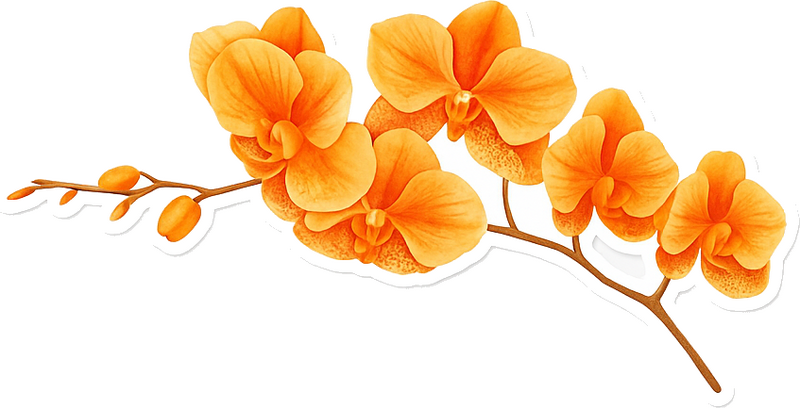 Adesivo fiore ramo di orchidea arancione - TenStickers