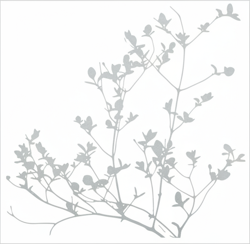 Sticker fenêtre silhouette de feuille élégante - TenStickers