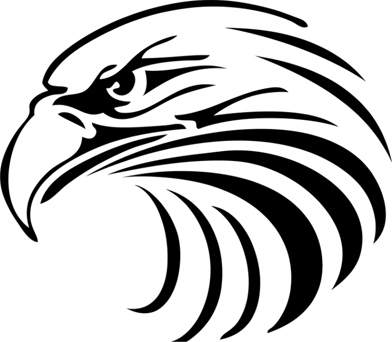 Adesivo murale rugby sagoma di aquila maestosa - TenStickers