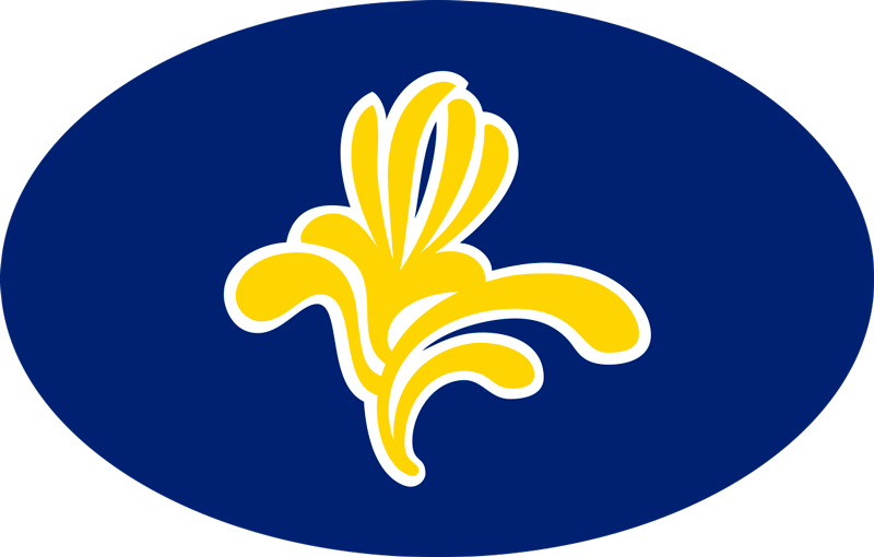 Autocollant Voiture Symbole Bruxelles - TenStickers