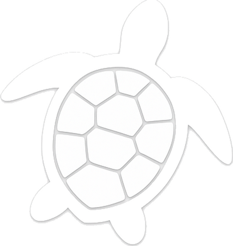 Wallsticker dyr hvid skildpadde - TenStickers