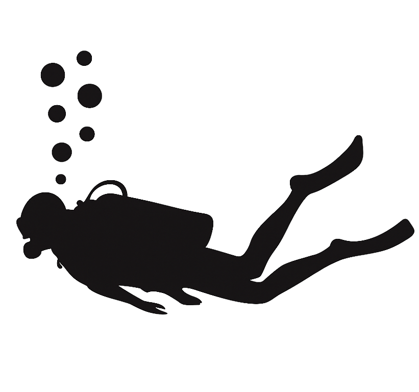 Αυτοκόλλητα τοίχου ζώα της ζούγκλας Δυτης - TenStickers