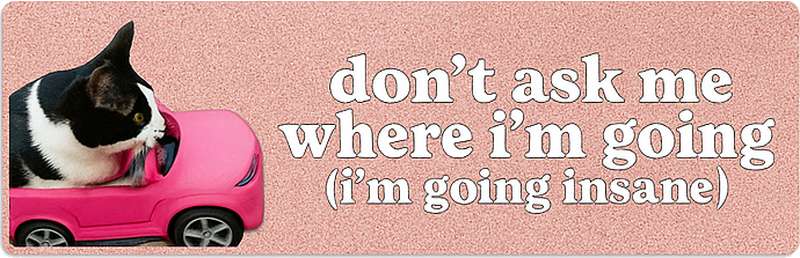 Car sticker don't ask me where i'm going - TenStickers
