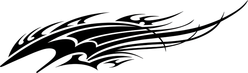 Autoaufkleber großer schneller drachenflügel - TenStickers