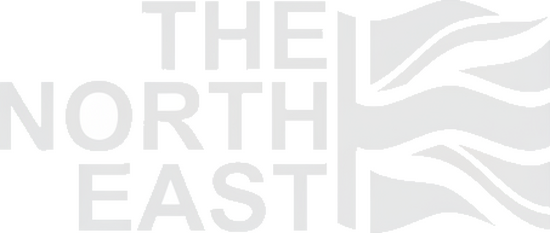 Adesivo per auto il nord est - TenStickers