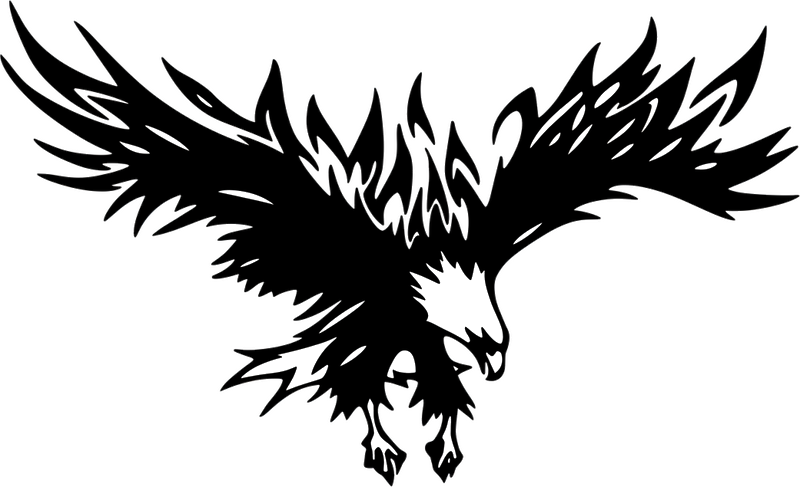 Naljepnica za auto s velikim orlom u letu - TenStickers