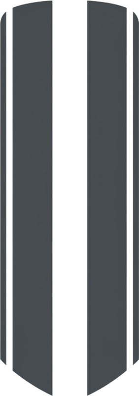 Naljepnica za auto jednostavna monokromatska dvostruka pruga - TenStickers