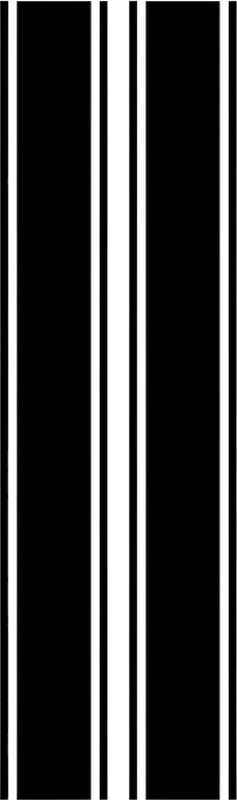 Car decal smooth racing stripes - TenStickers