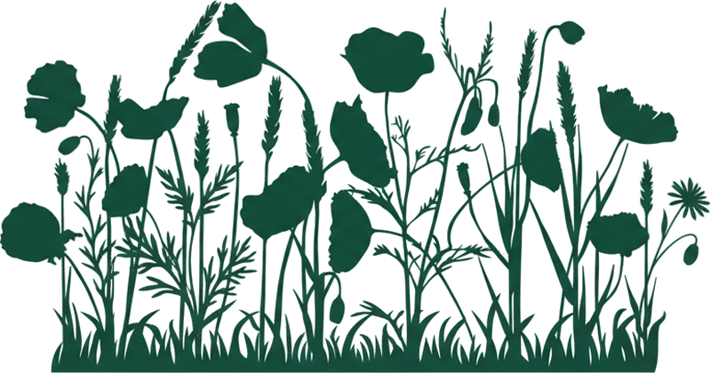 Sticker mural plantes botaniques minimalistes - TenStickers