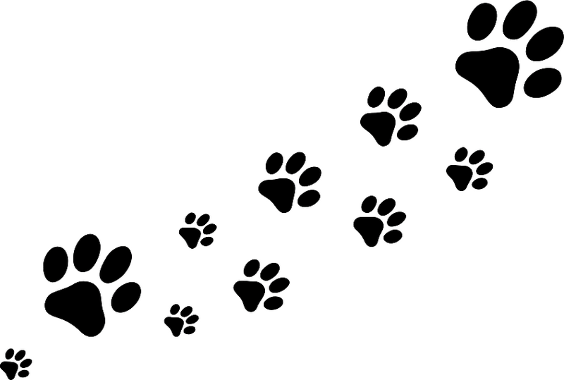 Sticker voiture empreinte de pattes mignonne - TenStickers