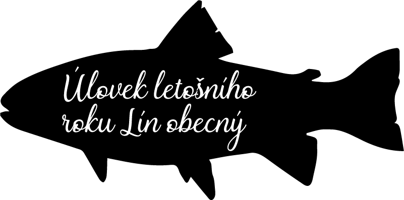 Ryby s textem obývací pokoj zdi dekor - TenStickers