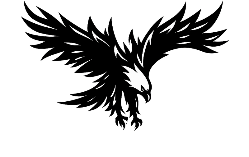 Car sticker large swooping eagle design - TenStickers