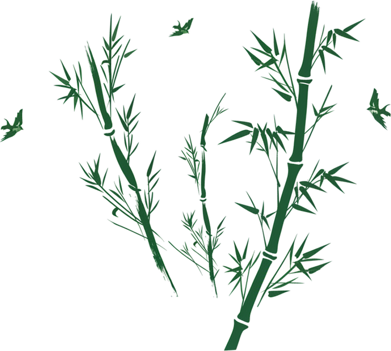 Wall sticker swish style bamboo birds - TenStickers