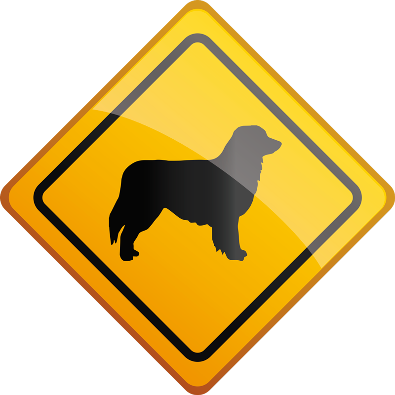 Australian shepherd on board Car decal - TenStickers
