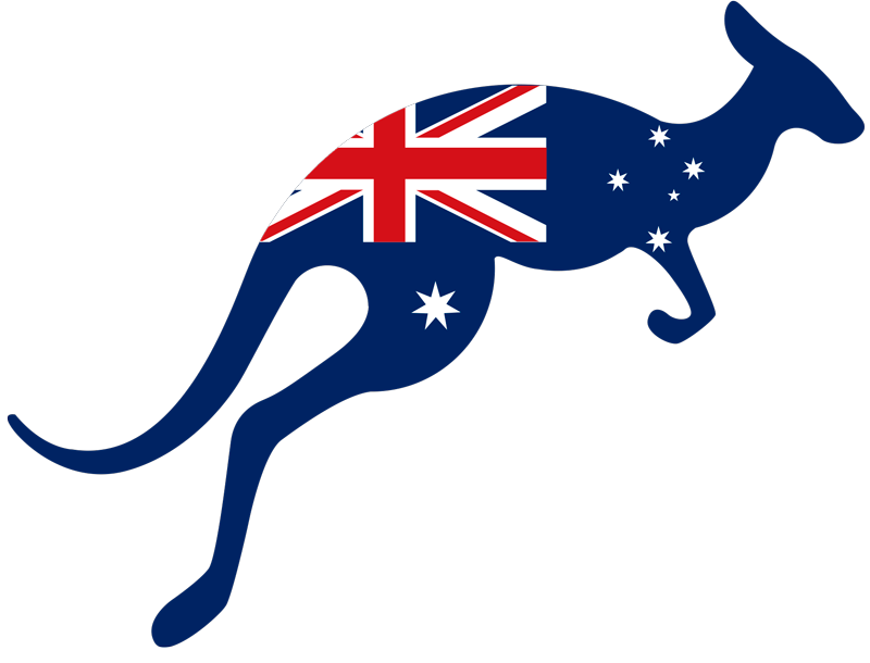 Kangoo Flag vinyl sticker - TenStickers