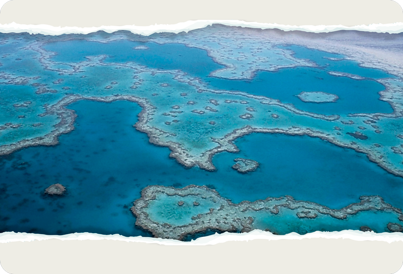 Great Barrier Reef Wall Mural Sticker - TenStickers