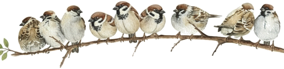 Gyvūnų lipdukas paukščiai ant šakos - „Tenstickers“