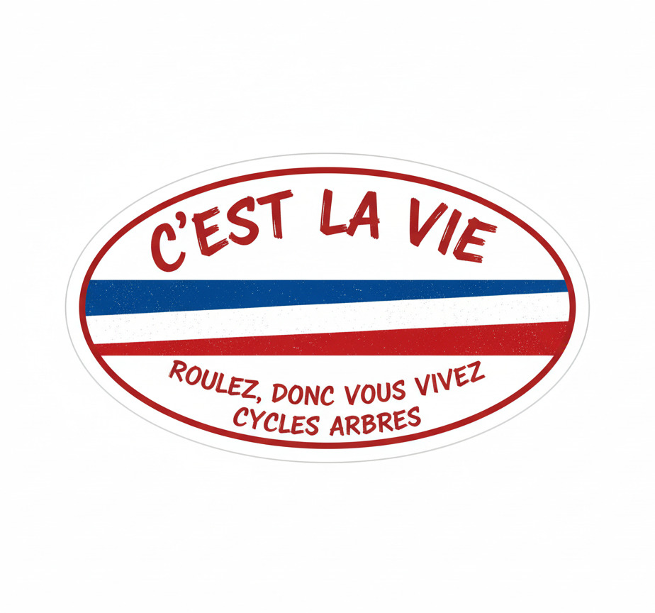 Sticker vélo autocollant c'est la vie - TenStickers