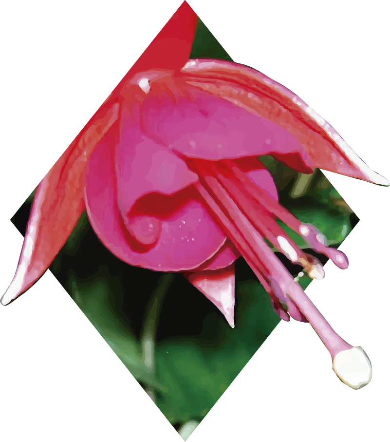 Vinilo pared dormitorio Chilco - TenVinilo