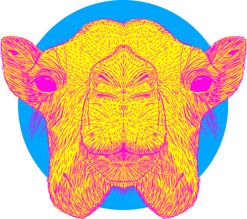 Taşınabilir deve dizüstü çıkartması - TenStickers