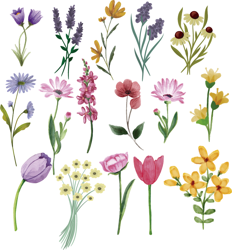 Sticker mural XXL - Variété colorée de fleurs - Set