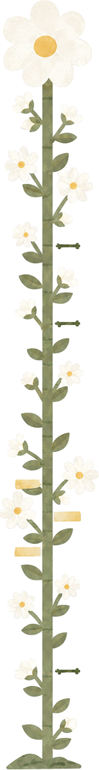 Sticker fleur marguerite haute - TenStickers