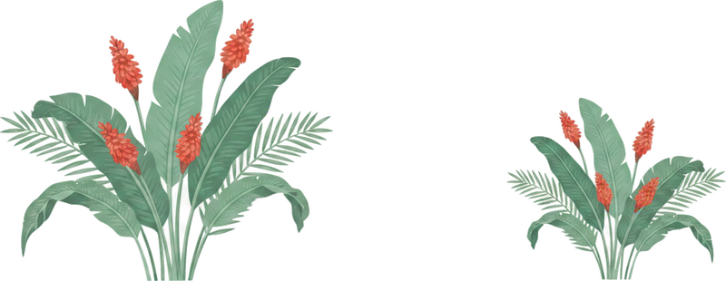Sticker fleur éléments botaniques - TenStickers