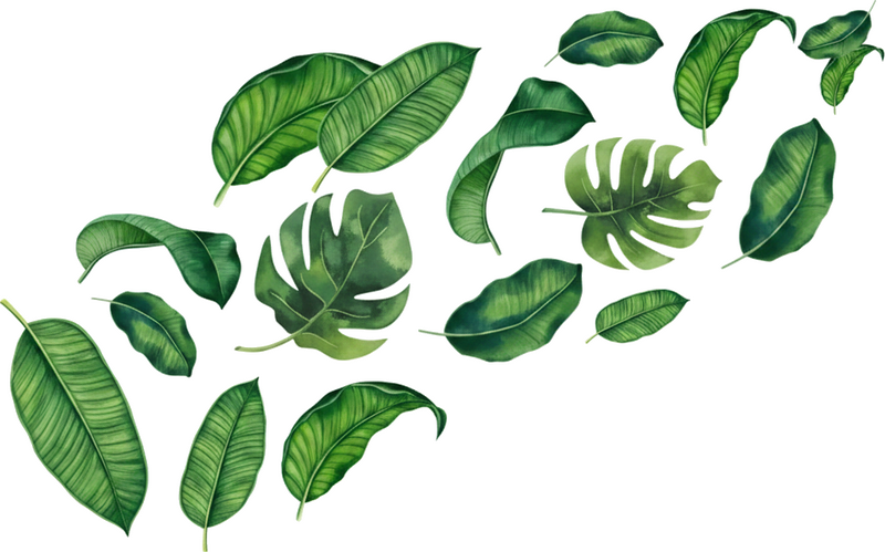 Sticker fleur collection de feuilles exotiques - TenStickers