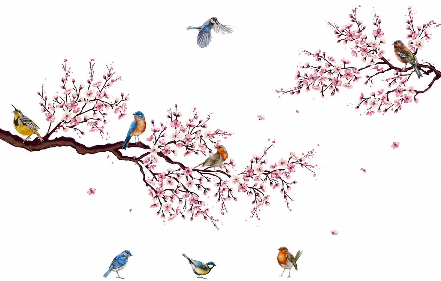 Sticker fleur branches de printemps et oiseaux - TenStickers