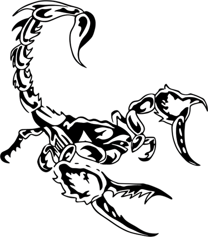 Adesivo per auto decalcomania scorpione - TenStickers