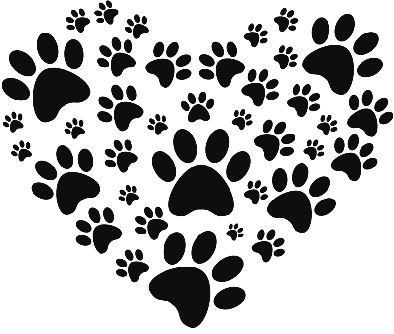 diseño de Huella de Perro 25 mm Placa metálica para Mascotas Catkoo Color Negro 