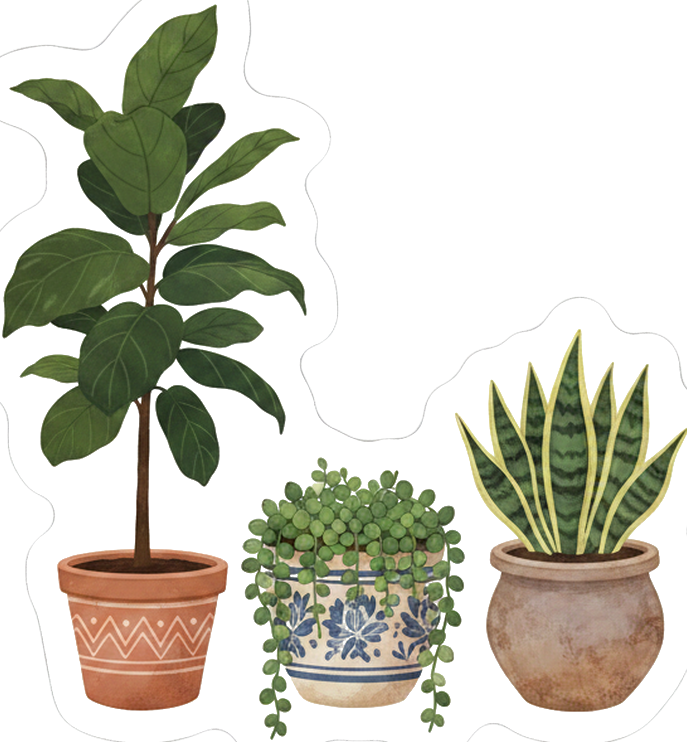3d wall sticker niche plants illustration - TenStickers