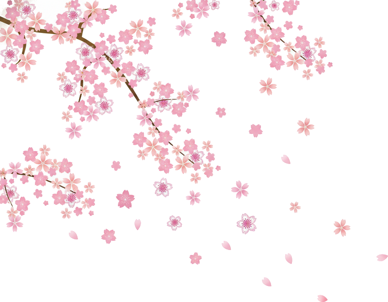 Sticker mural design de fleurs de cerisier tombantes - TenStickers