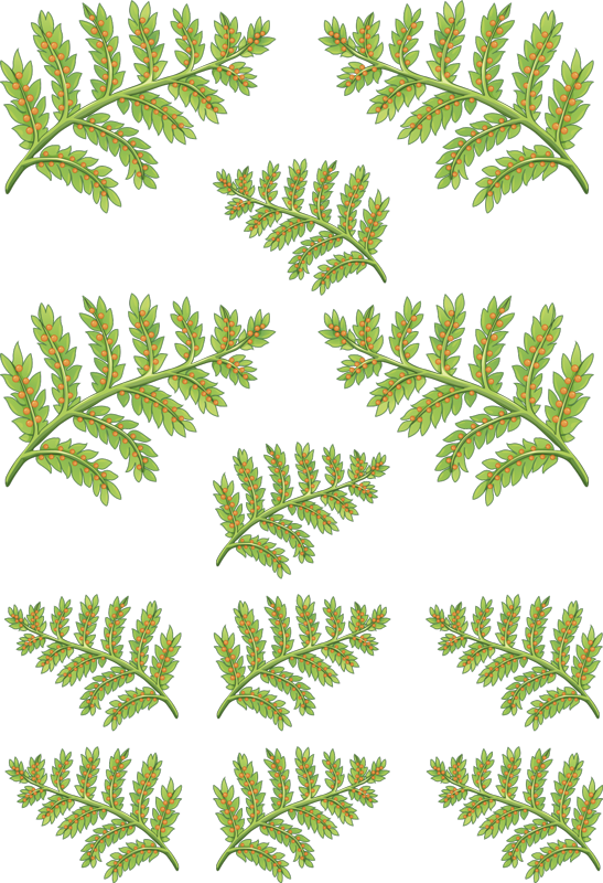 Fern leaf set plant wall sticker - TenStickers