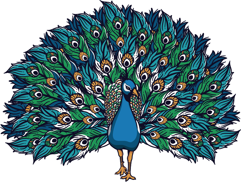 Cuadro plumas pavo real multicolor - TenVinilo