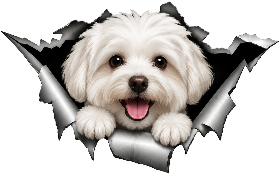 Autoaufkleber 3d süßer hund - TenStickers