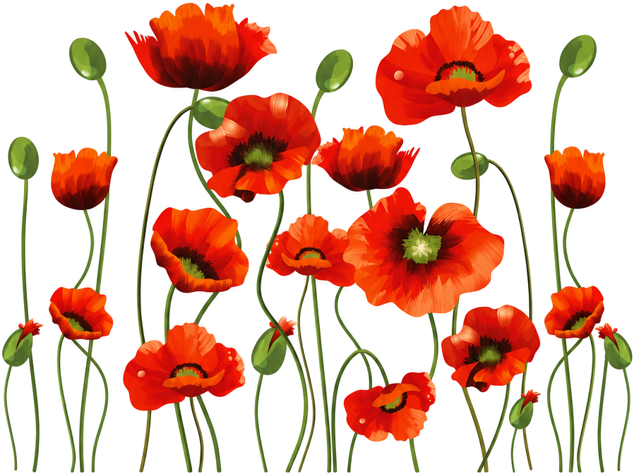 Fensteraufkleber frühlings-oster-mohnblumen - TenStickers
