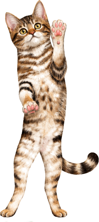 Álló macska ablak matrica - TenStickers