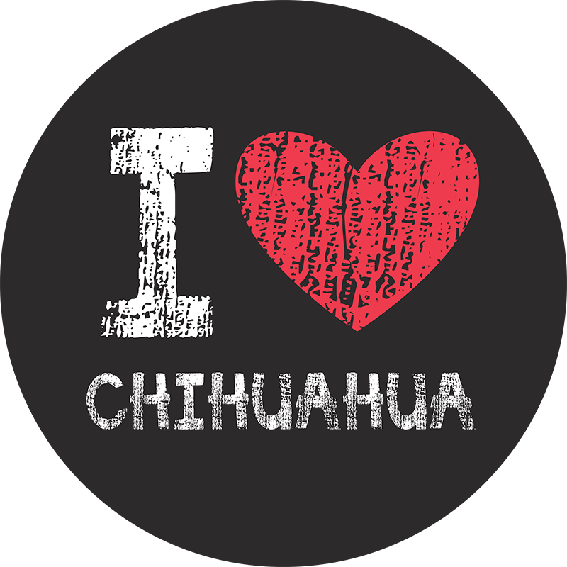 Szeretem a chiuahua falimatrica - TenStickers