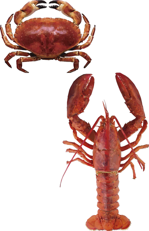 魚介類の描画の魚の壁のステッカー - TENSTICKERS