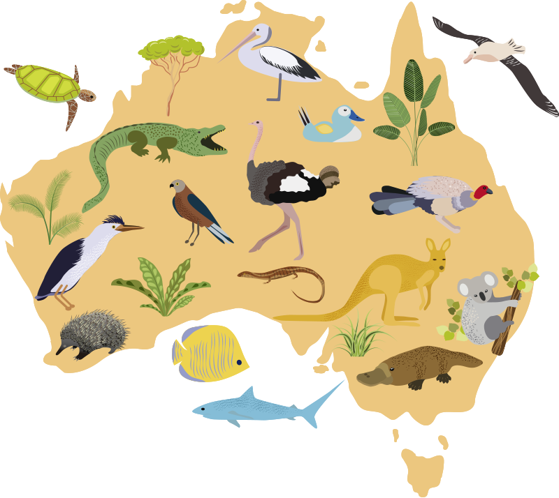 オーストラリアの子供たちの世界地図ステッカー Tenstickers