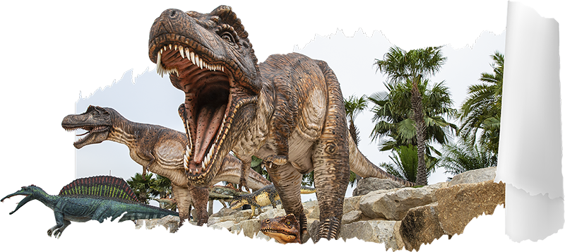 Adesivo dinossauro T-rex 3D - TenStickers